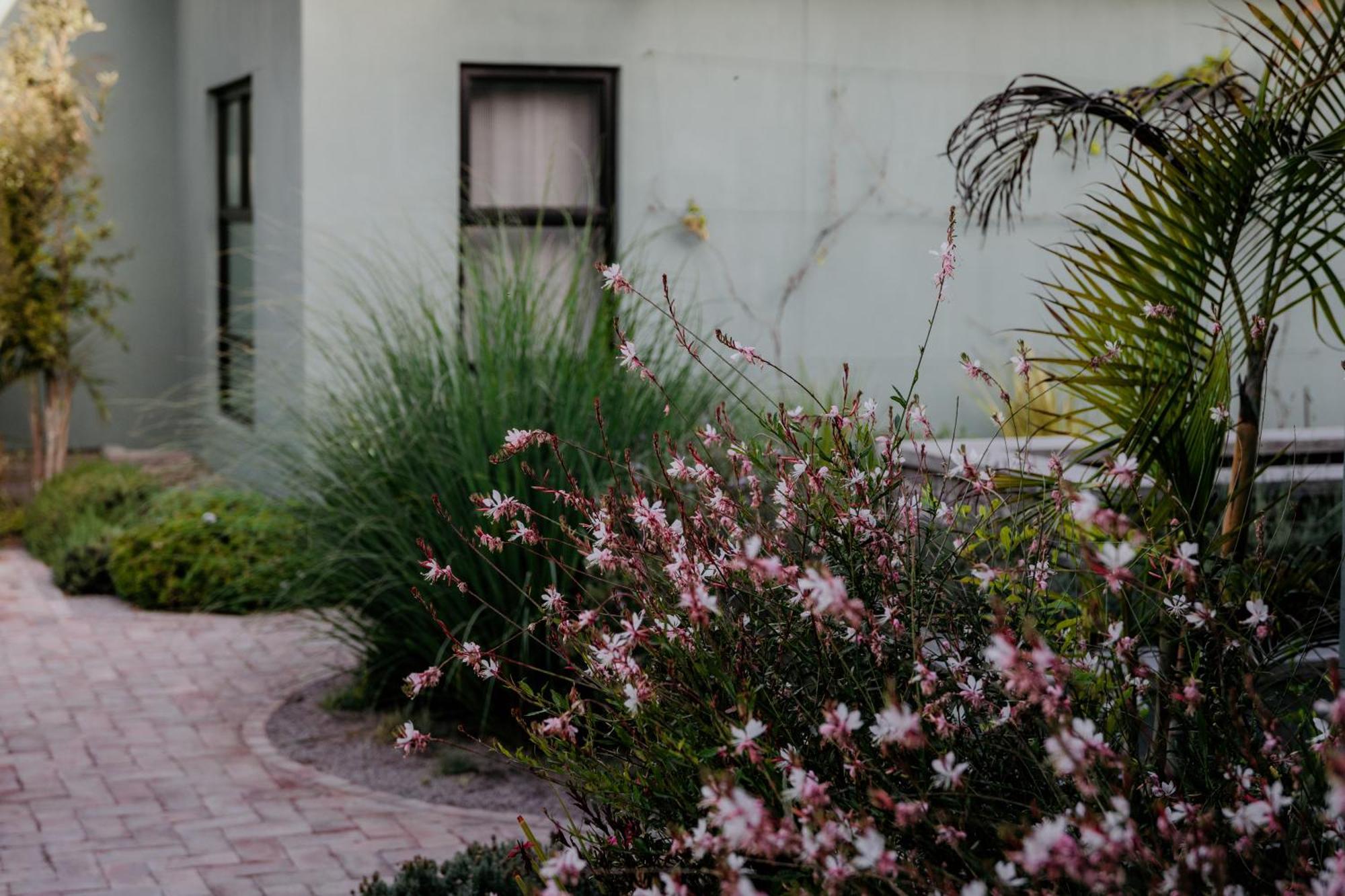 Fancy Fritz B&B Swakopmund Exteriör bild
